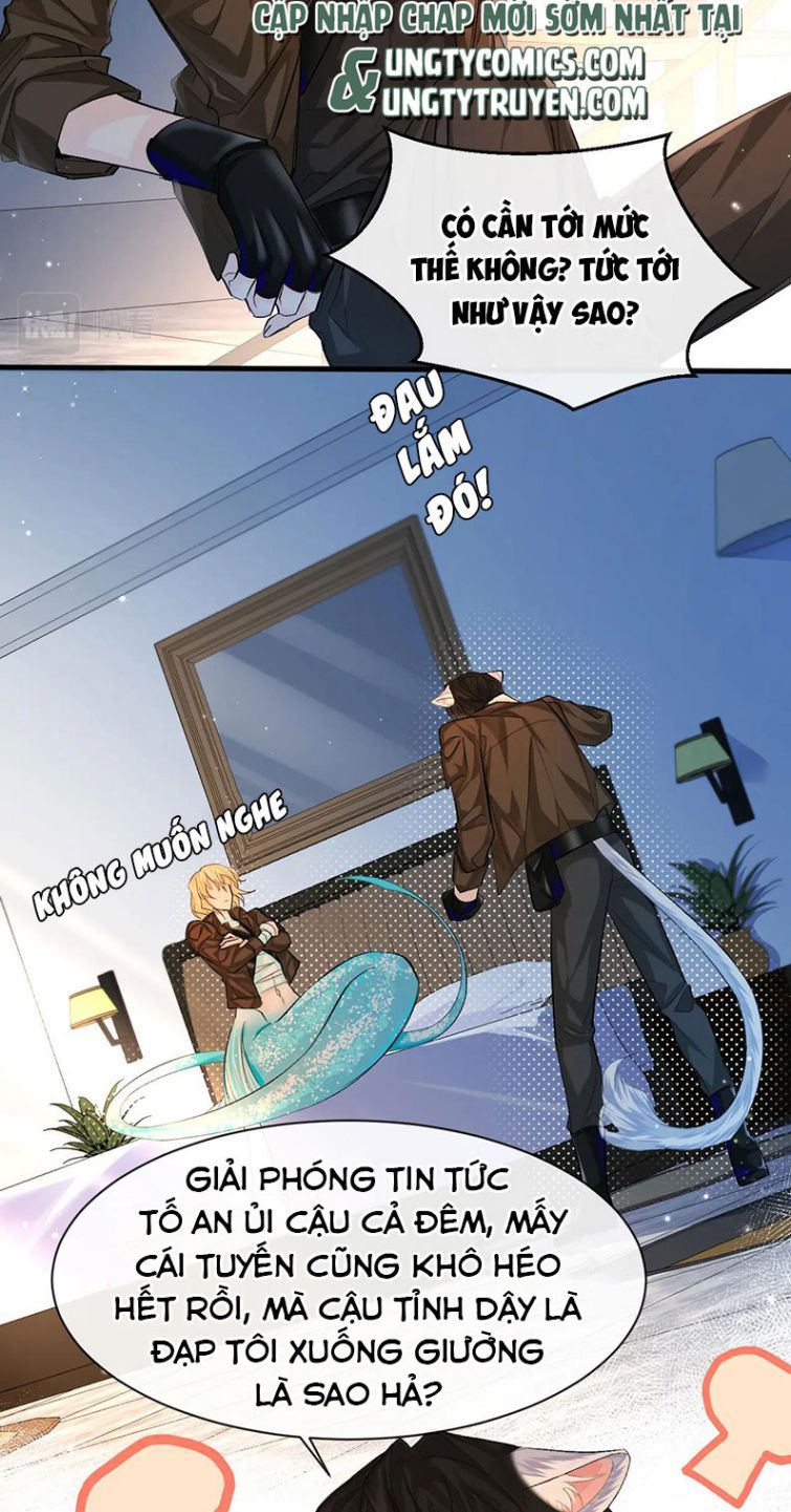 Nhân Ngư Rơi Xuống: Chapter 15