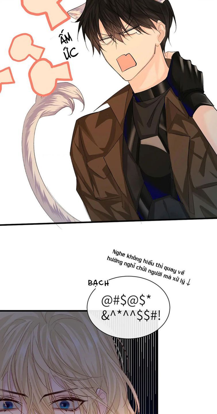 Nhân Ngư Rơi Xuống: Chapter 15