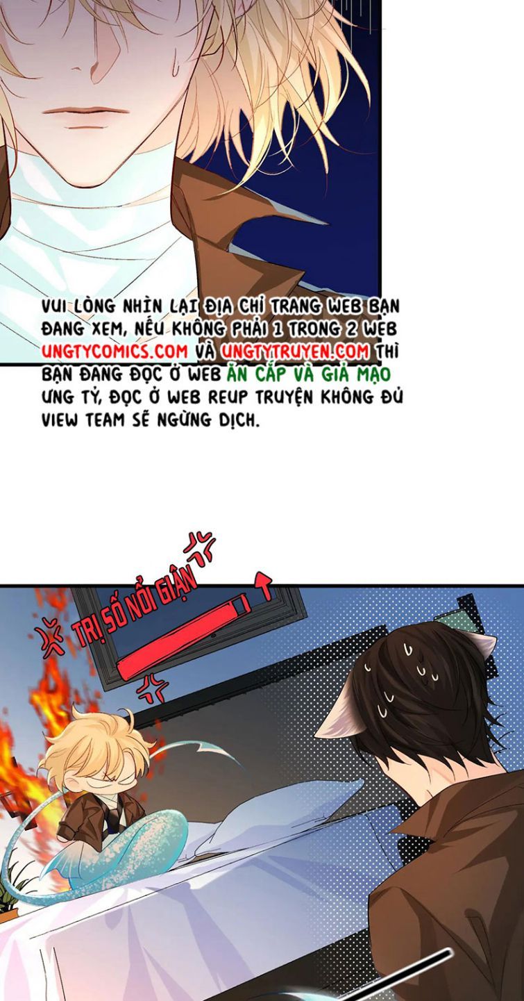 Nhân Ngư Rơi Xuống: Chapter 15