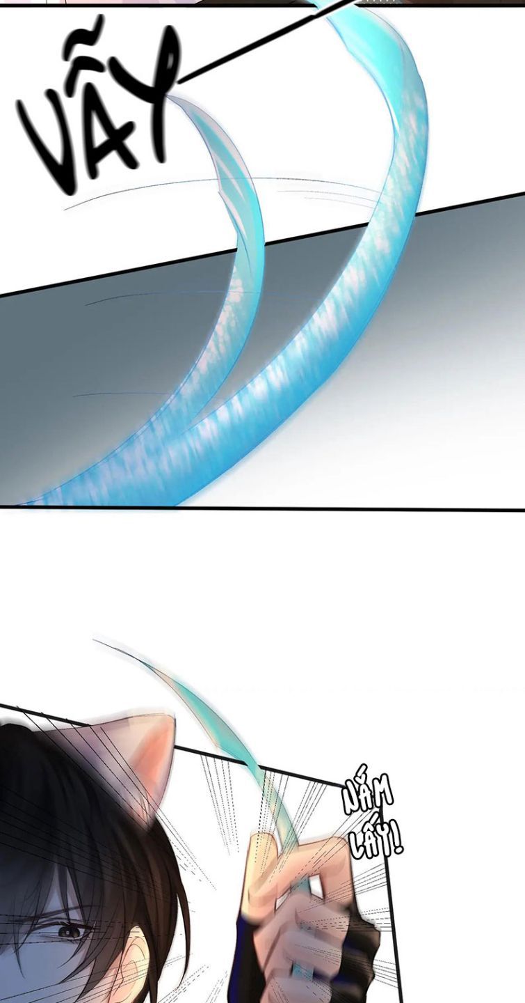 Nhân Ngư Rơi Xuống: Chapter 15