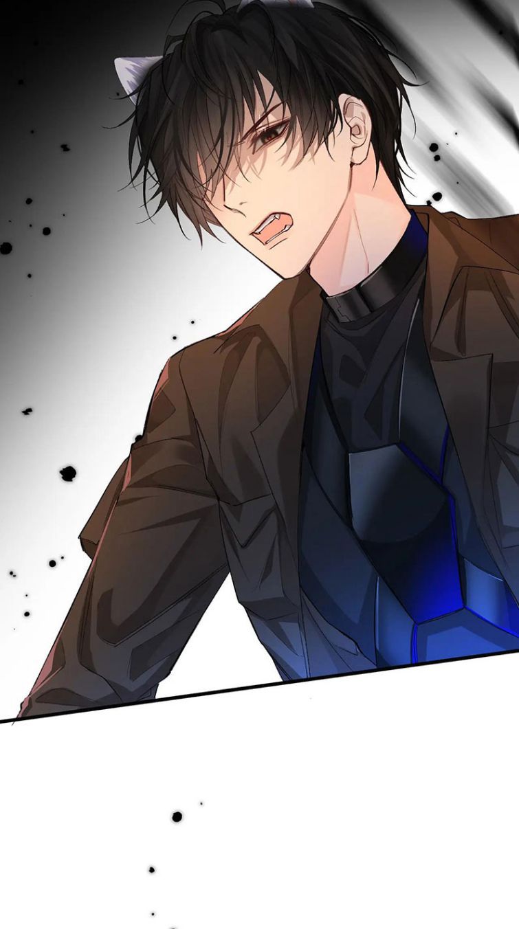 Nhân Ngư Rơi Xuống: Chapter 15