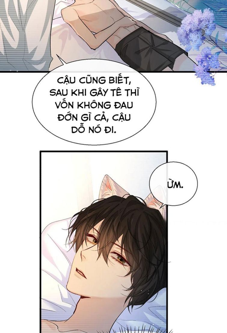 Nhân Ngư Rơi Xuống: Chapter 15