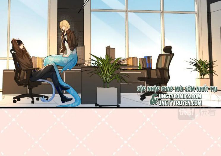 Nhân Ngư Rơi Xuống: Chapter 17