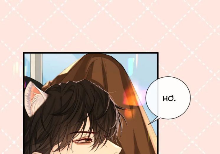 Nhân Ngư Rơi Xuống: Chapter 17