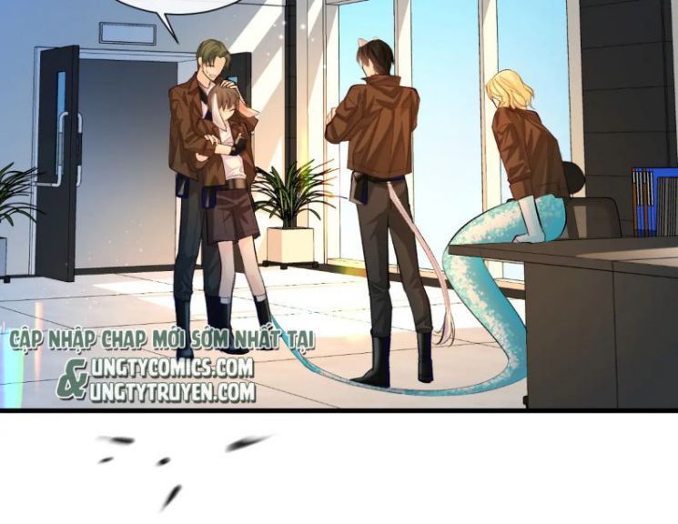 Nhân Ngư Rơi Xuống: Chapter 17