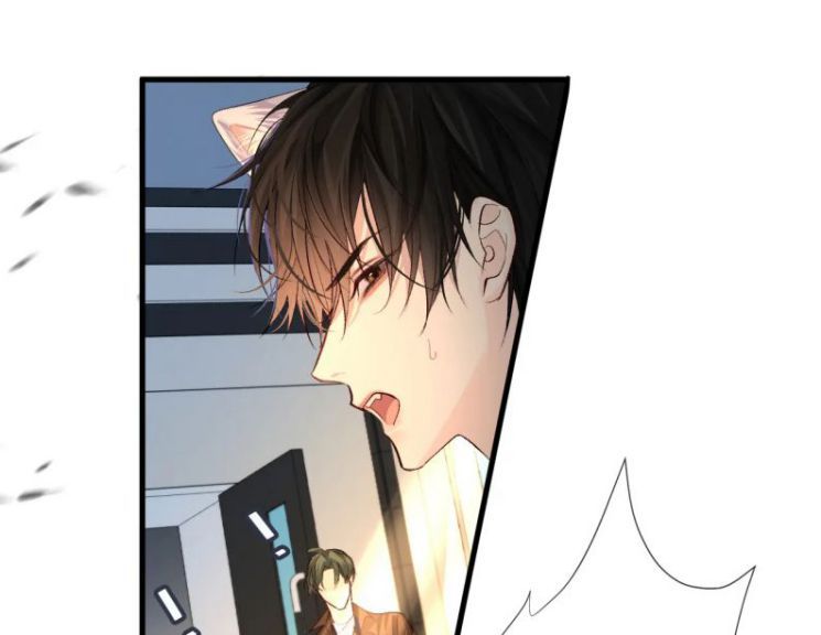 Nhân Ngư Rơi Xuống: Chapter 17