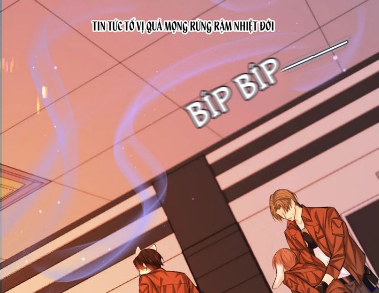 Nhân Ngư Rơi Xuống: Chapter 17