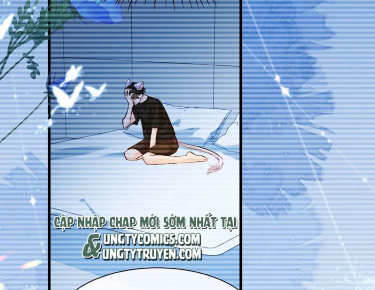 Nhân Ngư Rơi Xuống: Chapter 17