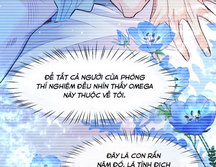 Nhân Ngư Rơi Xuống: Chapter 17