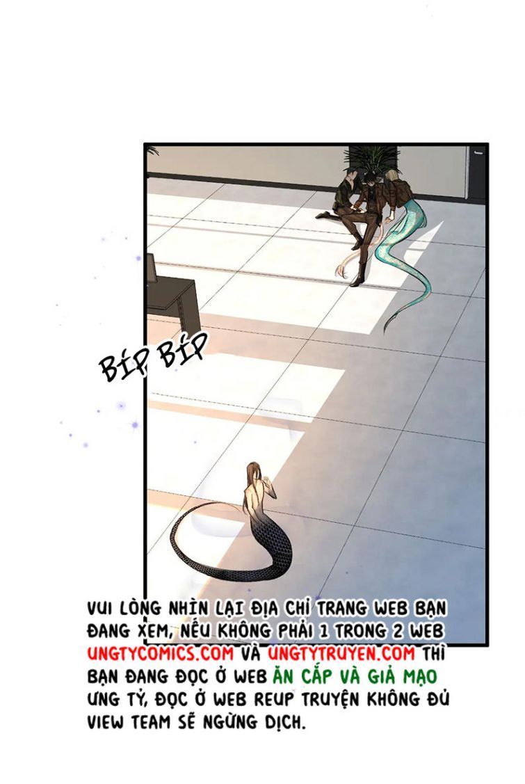 Nhân Ngư Rơi Xuống: Chapter 18