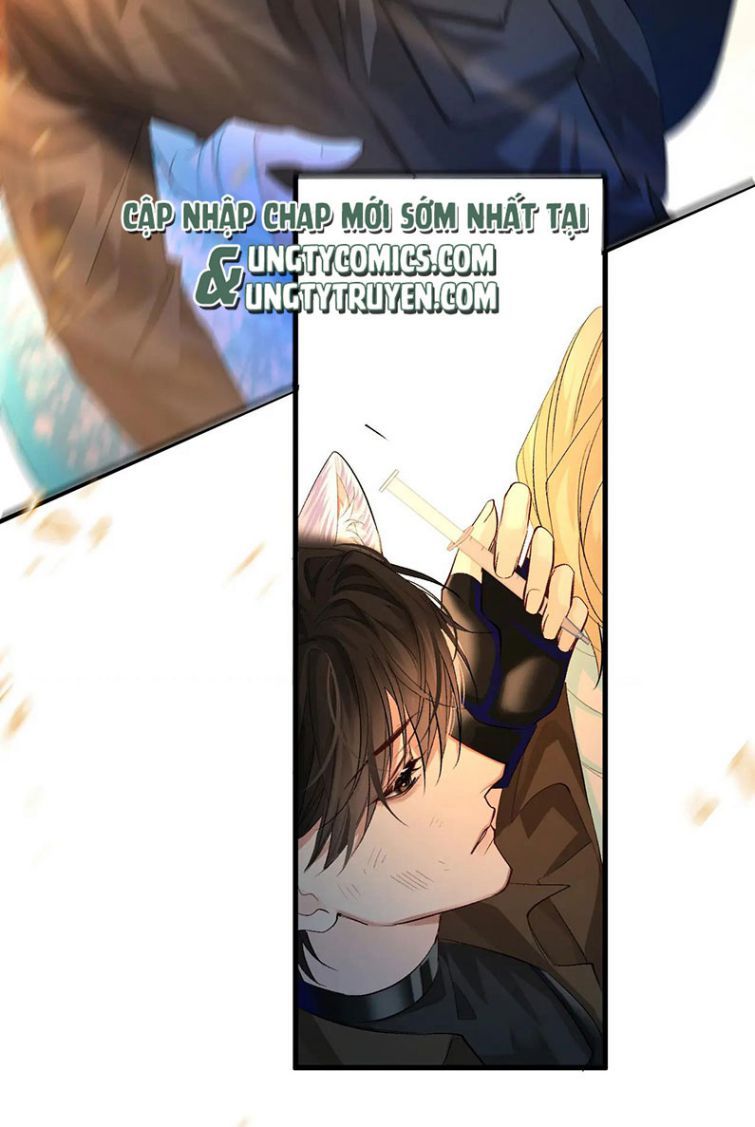 Nhân Ngư Rơi Xuống: Chapter 18