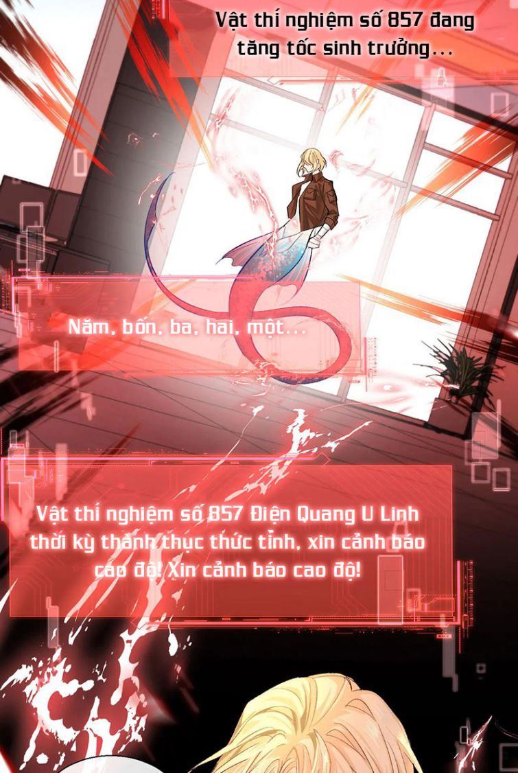 Nhân Ngư Rơi Xuống: Chapter 18