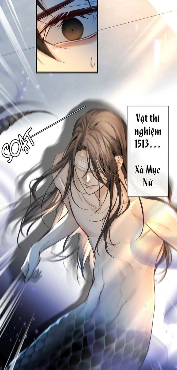 Nhân Ngư Rơi Xuống: Chapter 18