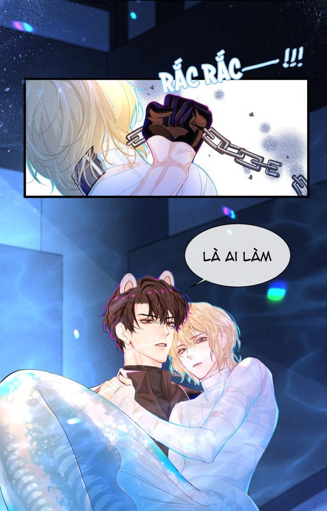 Nhân Ngư Rơi Xuống: Chapter 2