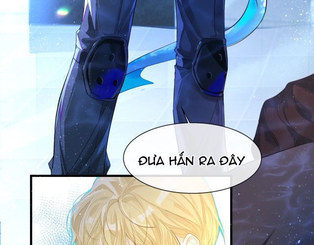 Nhân Ngư Rơi Xuống: Chapter 2