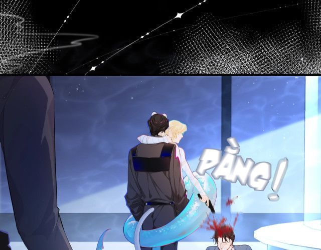 Nhân Ngư Rơi Xuống: Chapter 2