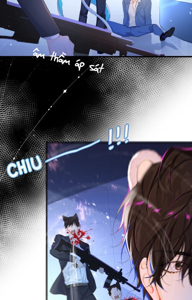 Nhân Ngư Rơi Xuống: Chapter 2