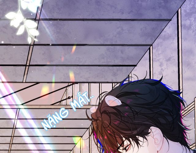 Nhân Ngư Rơi Xuống: Chapter 2