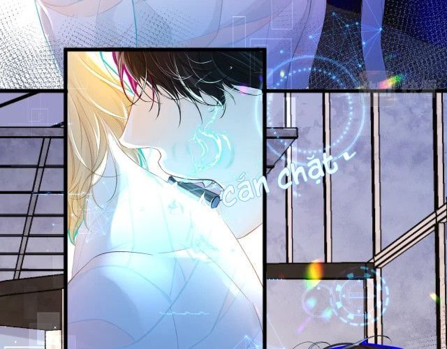 Nhân Ngư Rơi Xuống: Chapter 2