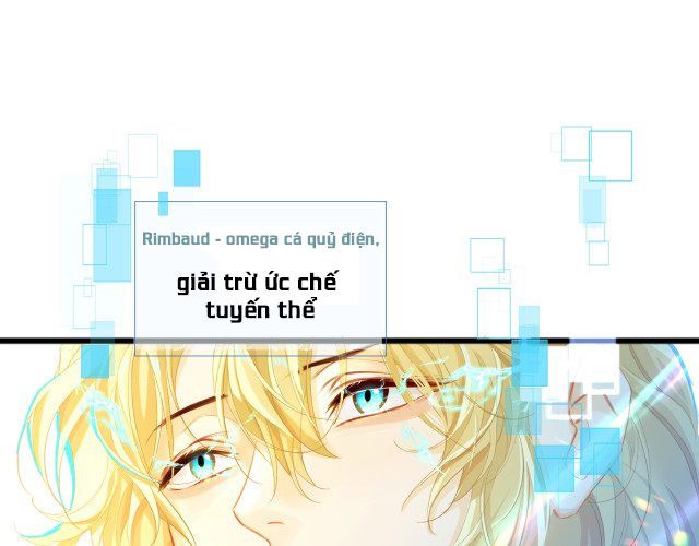 Nhân Ngư Rơi Xuống: Chapter 2