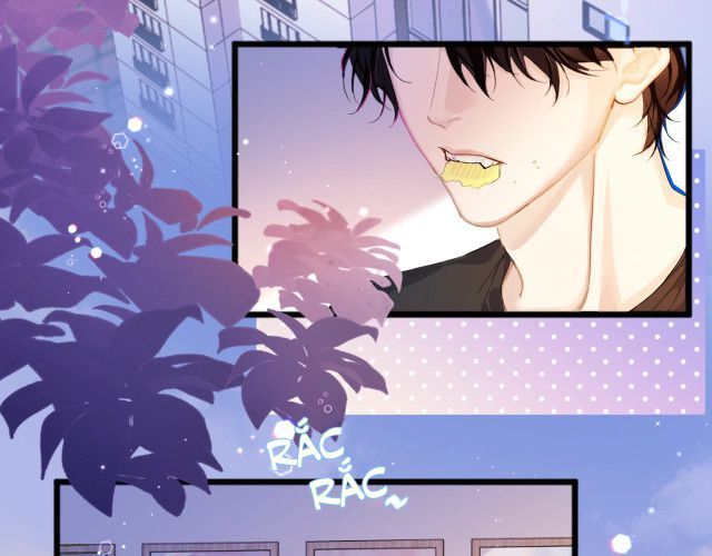 Nhân Ngư Rơi Xuống: Chapter 2