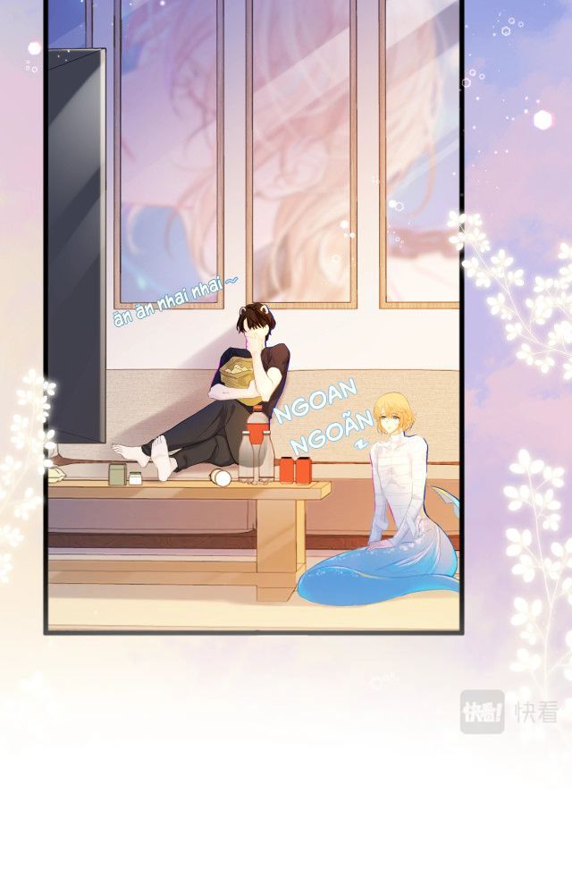 Nhân Ngư Rơi Xuống: Chapter 2