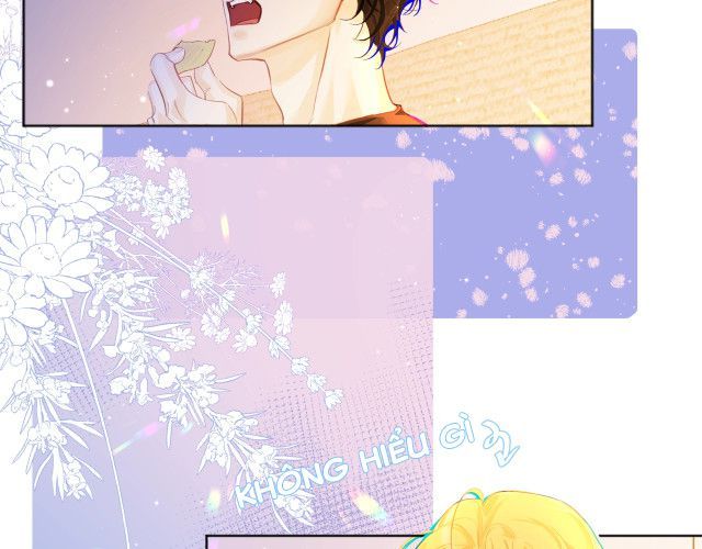 Nhân Ngư Rơi Xuống: Chapter 2