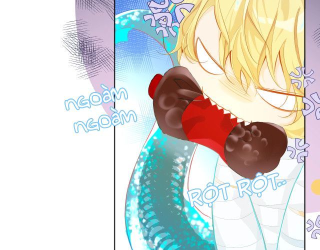 Nhân Ngư Rơi Xuống: Chapter 2