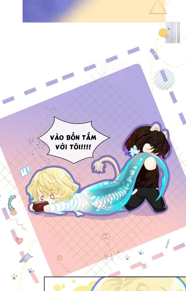 Nhân Ngư Rơi Xuống: Chapter 2