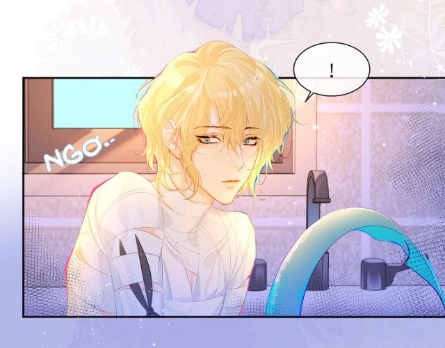 Nhân Ngư Rơi Xuống: Chapter 2