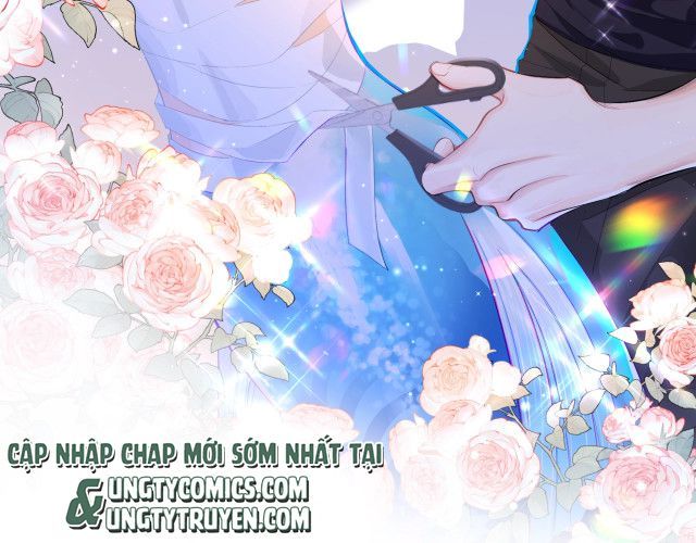 Nhân Ngư Rơi Xuống: Chapter 2