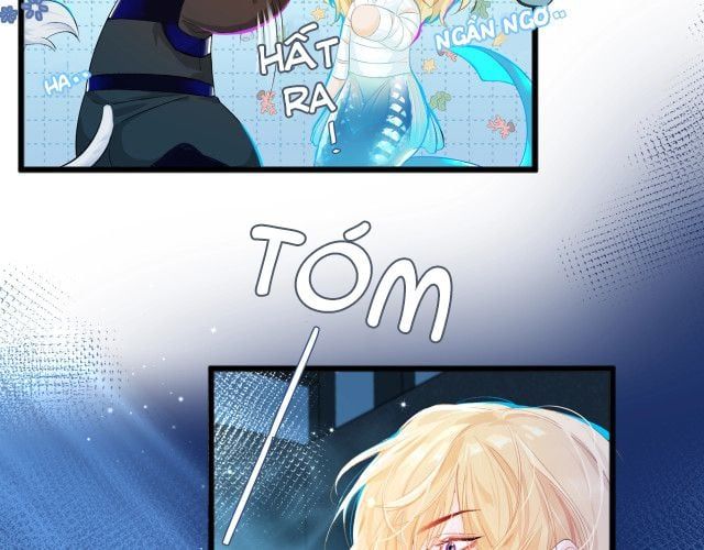 Nhân Ngư Rơi Xuống: Chapter 2