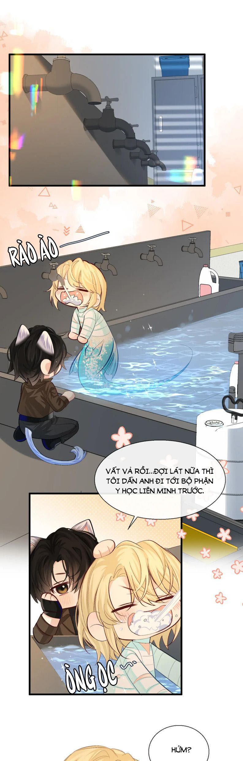 Nhân Ngư Rơi Xuống: Chapter 20