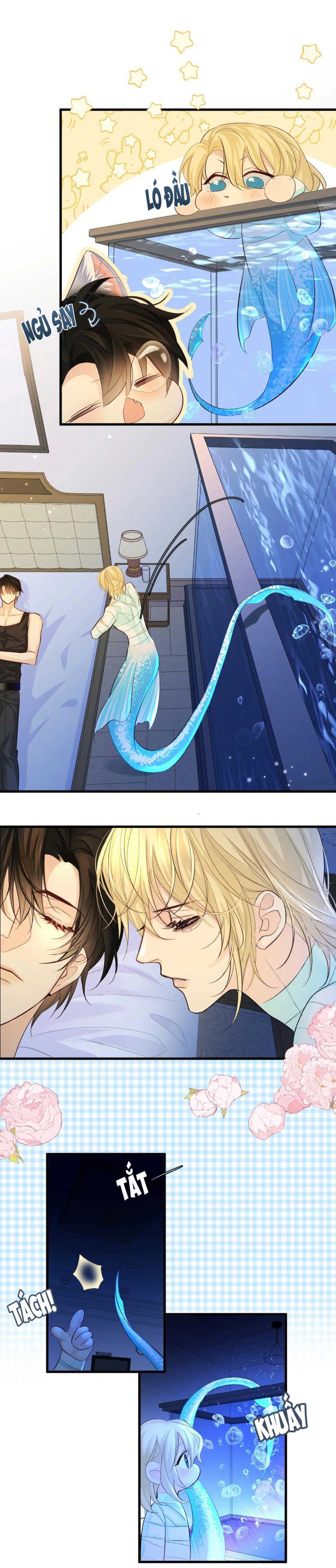 Nhân Ngư Rơi Xuống: Chapter 23