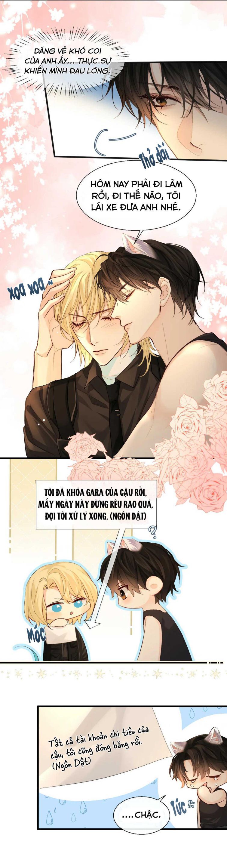 Nhân Ngư Rơi Xuống: Chapter 24