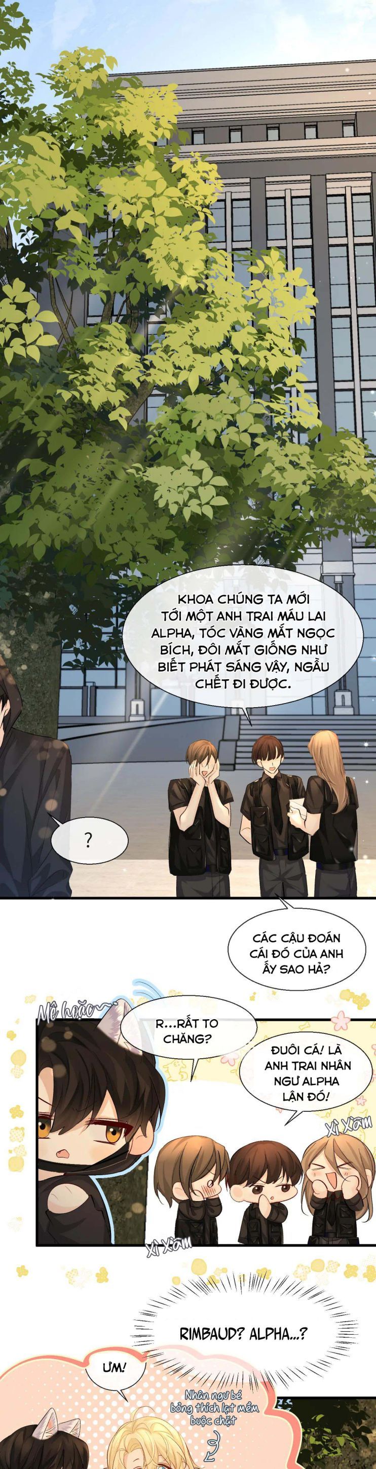 Nhân Ngư Rơi Xuống: Chapter 25