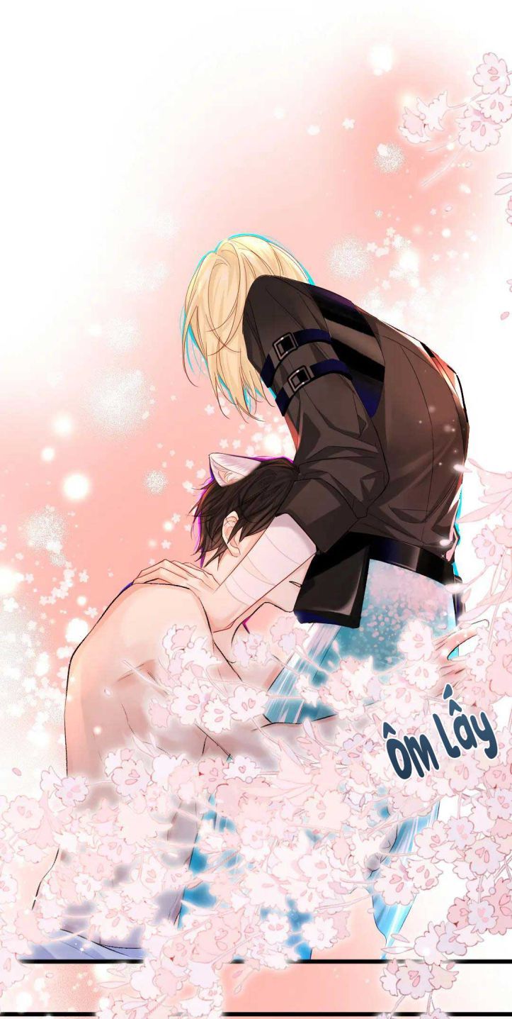 Nhân Ngư Rơi Xuống: Chapter 28