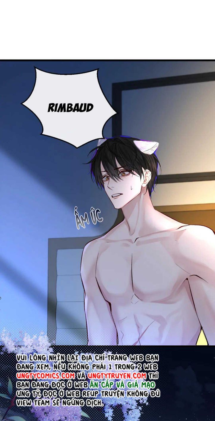 Nhân Ngư Rơi Xuống: Chapter 28