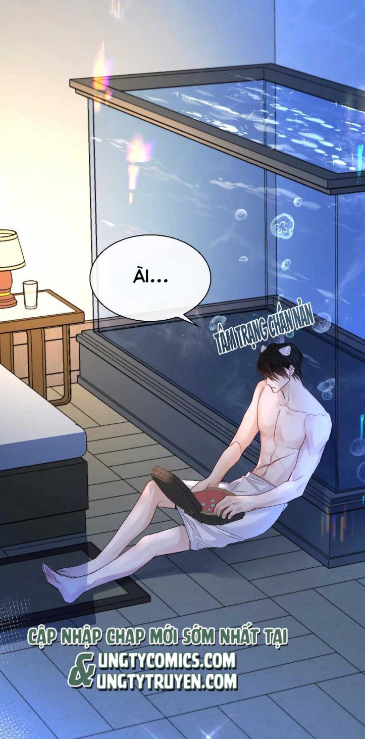 Nhân Ngư Rơi Xuống: Chapter 28