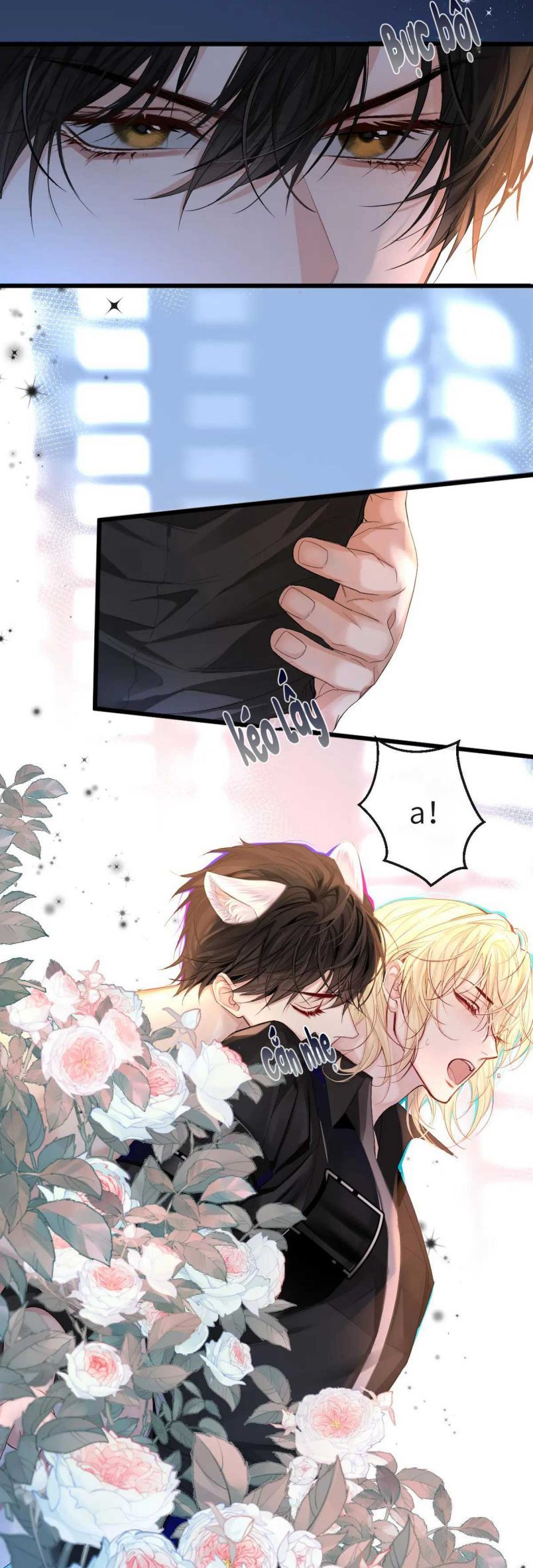 Nhân Ngư Rơi Xuống: Chapter 28