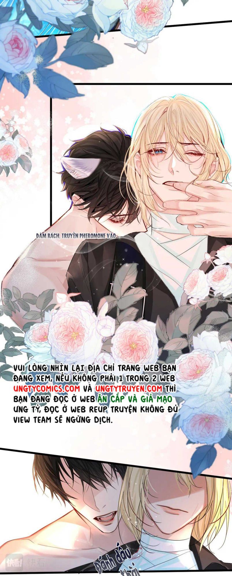 Nhân Ngư Rơi Xuống: Chapter 28