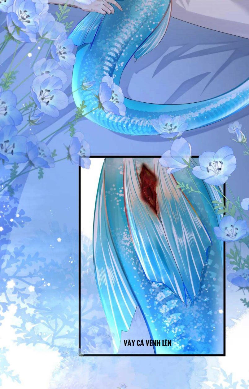 Nhân Ngư Rơi Xuống: Chapter 28