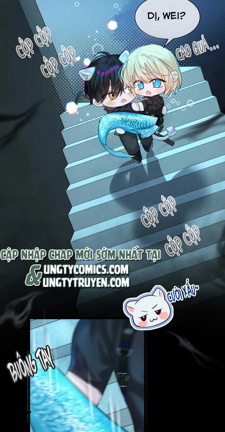 Nhân Ngư Rơi Xuống: Chapter 30