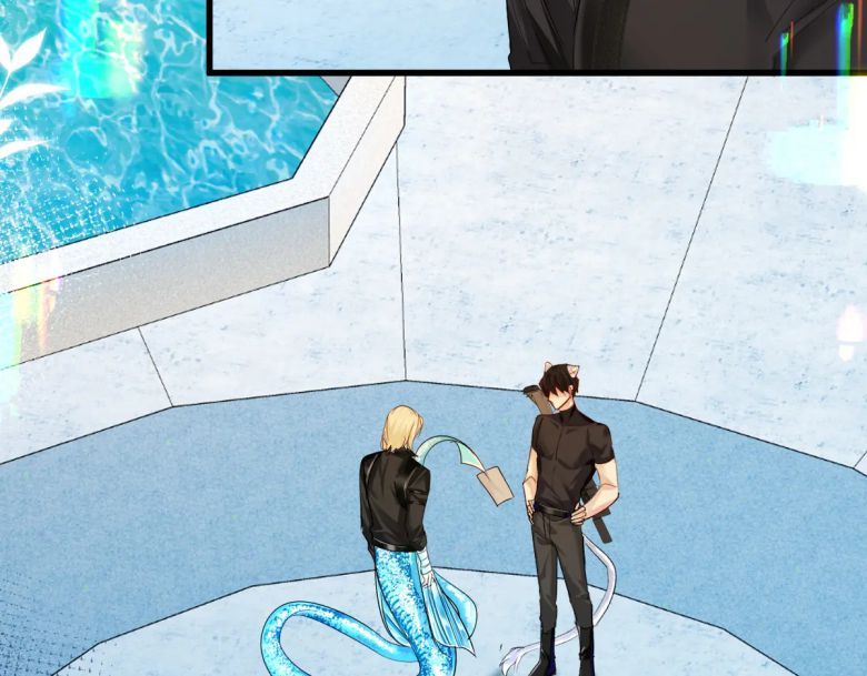 Nhân Ngư Rơi Xuống: Chapter 33