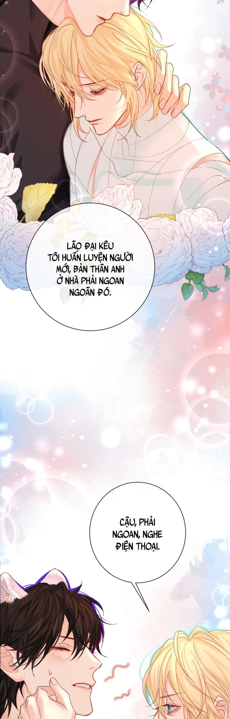 Nhân Ngư Rơi Xuống: Chapter 39