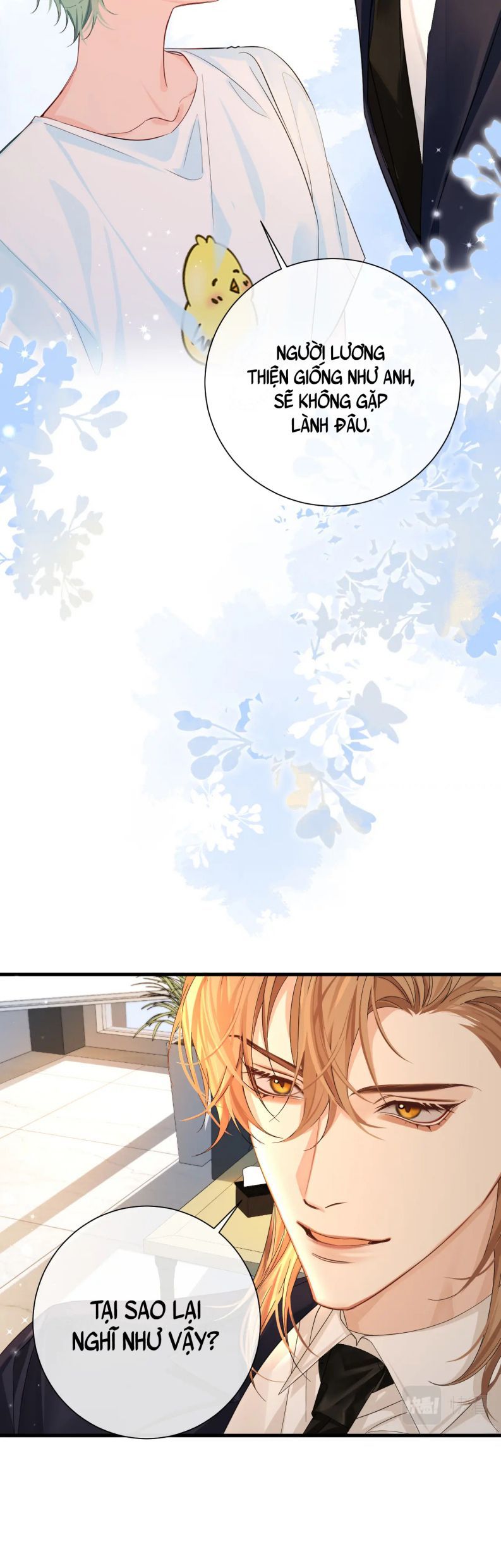 Nhân Ngư Rơi Xuống: Chapter 39