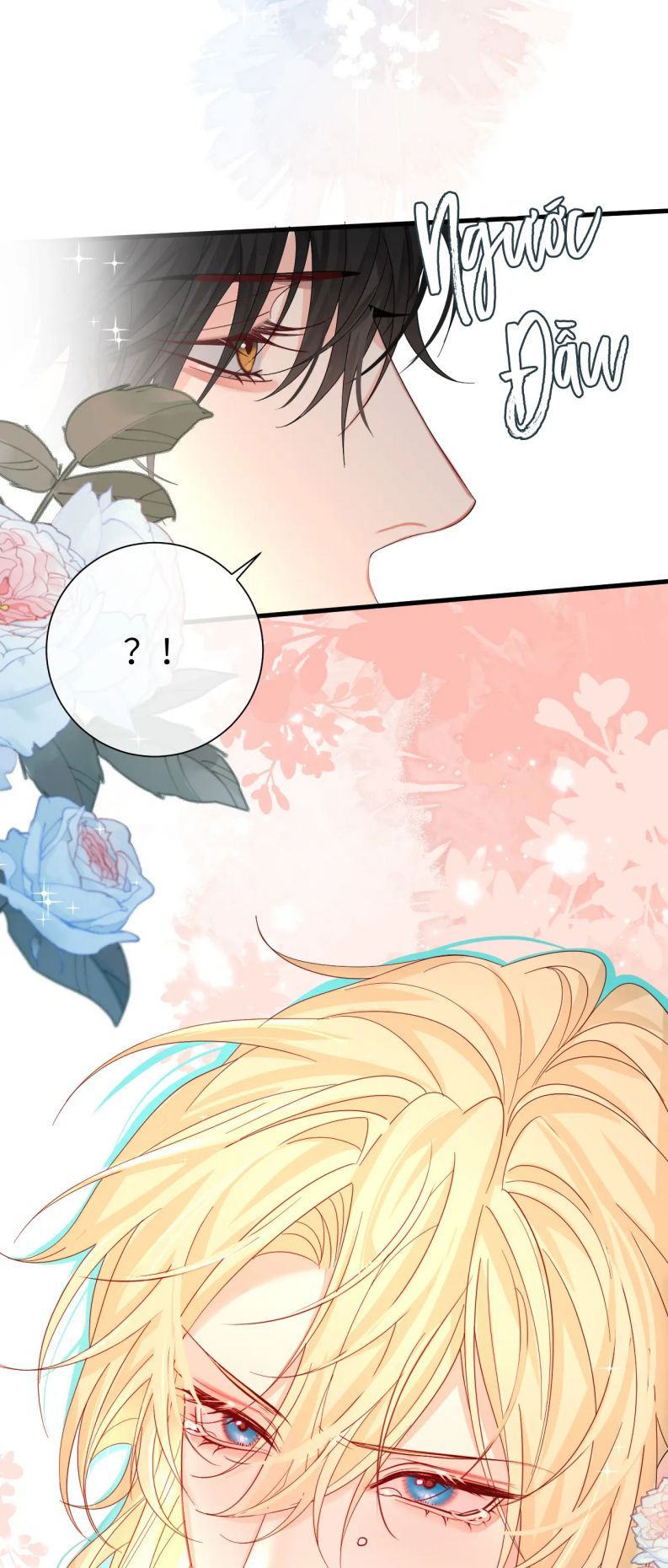 Nhân Ngư Rơi Xuống: Chapter 39