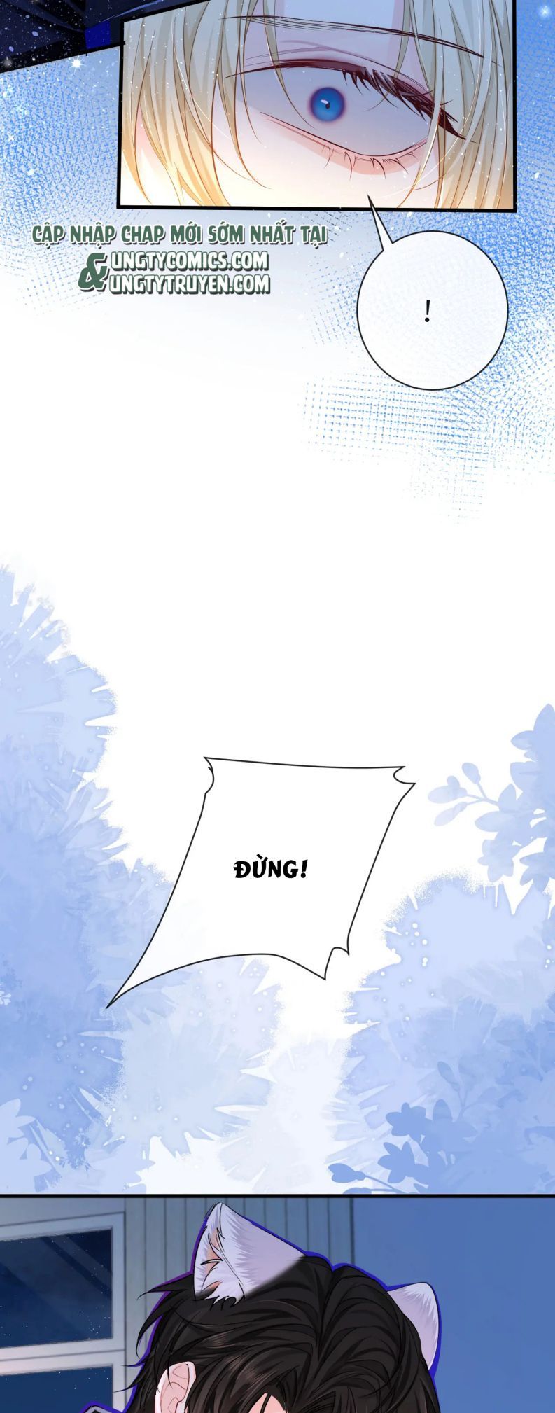 Nhân Ngư Rơi Xuống: Chapter 44