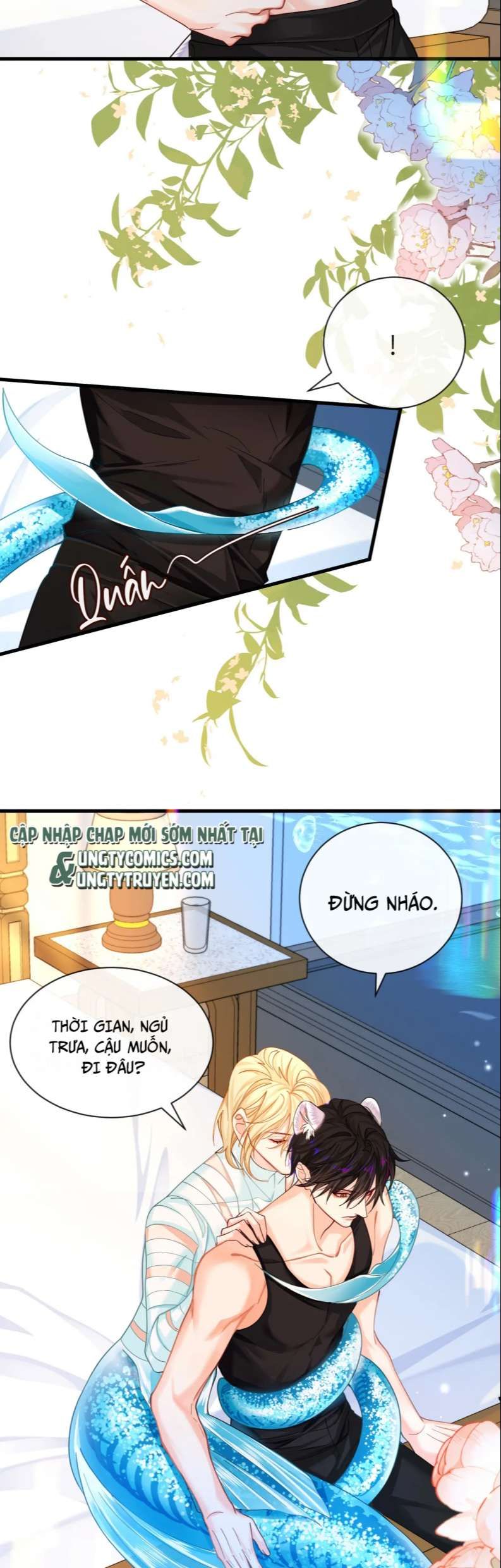 Nhân Ngư Rơi Xuống: Chapter 46