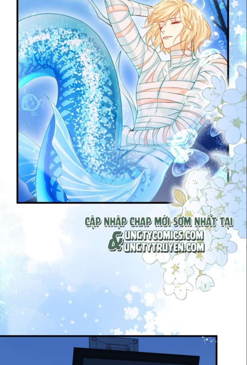 Nhân Ngư Rơi Xuống: Chapter 47